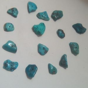 Genuine Native American carved Rare vintage turquoise . 14 Pieces.